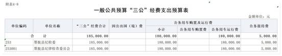 2024年縣紀(jì)委監(jiān)委部門預(yù)算公開報表_8一般公共預(yù)算三公